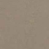 Forbo Marmoleum Concrete 2.5mm Exen Flooring