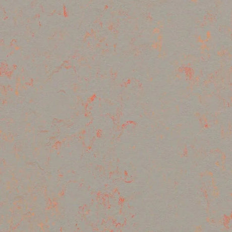 Forbo Marmoleum Concrete 2.5mm Exen Flooring