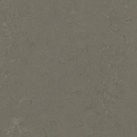 Forbo Marmoleum Concrete 2.5mm Exen Flooring