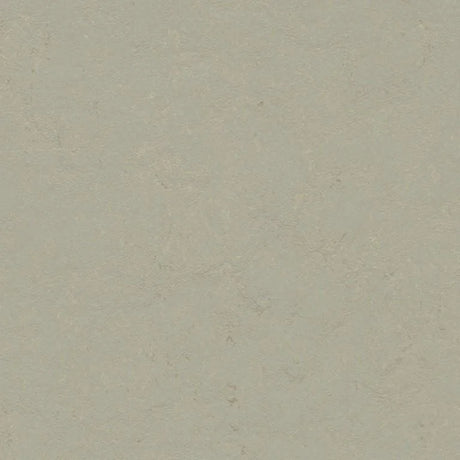 Forbo Marmoleum Concrete 2.5mm Exen Flooring