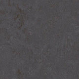 Forbo Marmoleum Concrete 2.5mm Exen Flooring