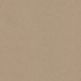 Forbo Marmoleum Concrete 2.5mm Exen Flooring