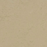 Forbo Marmoleum Concrete 2.5mm Exen Flooring