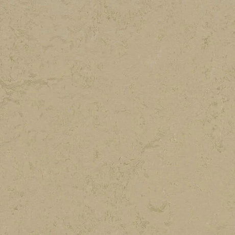 Forbo Marmoleum Concrete 2.5mm Exen Flooring