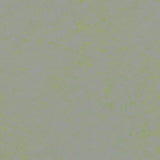 Forbo Marmoleum Concrete 2.5mm Exen Flooring