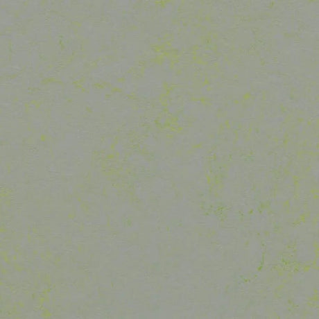 Forbo Marmoleum Concrete 2.5mm Exen Flooring