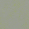 Forbo Marmoleum Concrete 2.5mm Exen Flooring