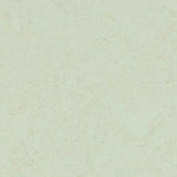 Forbo Marmoleum Concrete 2.5mm Exen Flooring