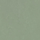 Forbo Marmoleum Concrete 2.5mm Exen Flooring