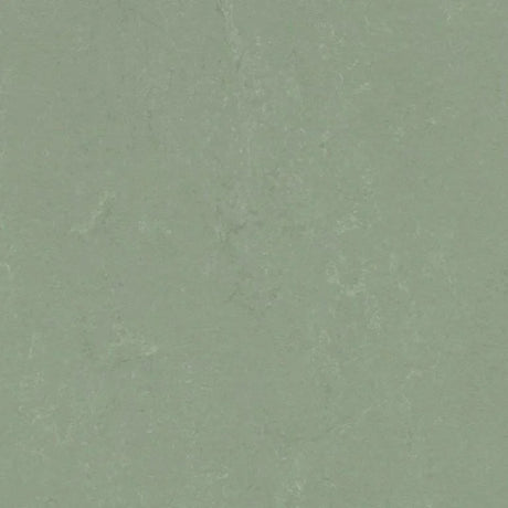 Forbo Marmoleum Concrete 2.5mm Exen Flooring