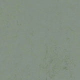 Forbo Marmoleum Concrete 2.5mm Exen Flooring