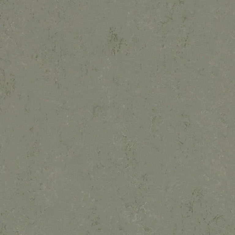 Forbo Marmoleum Concrete 2.5mm Exen Flooring