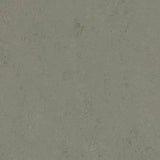 Forbo Marmoleum Concrete 2.5mm Exen Flooring