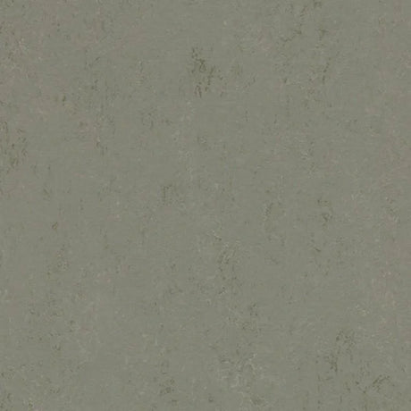 Forbo Marmoleum Concrete 2.5mm Exen Flooring