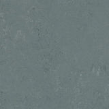 Forbo Marmoleum Concrete 2.5mm Exen Flooring