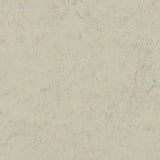 Forbo Marmoleum Concrete 2.5mm Exen Flooring
