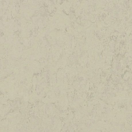 Forbo Marmoleum Concrete 2.5mm Exen Flooring