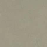 Forbo Marmoleum Concrete 2.5mm Exen Flooring