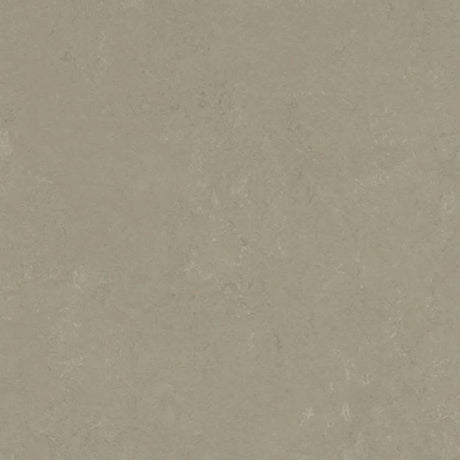 Forbo Marmoleum Concrete 2.5mm Exen Flooring