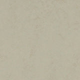 Forbo Marmoleum Concrete 2.5mm Exen Flooring