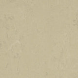Forbo Marmoleum Concrete 2.5mm Exen Flooring