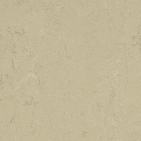 Forbo Marmoleum Concrete 2.5mm Exen Flooring