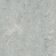 Forbo Marmoleum Decibel Exen Flooring
