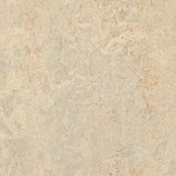 Forbo Marmoleum Decibel Exen Flooring