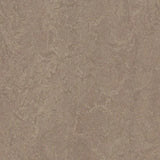 Forbo Marmoleum Decibel Exen Flooring