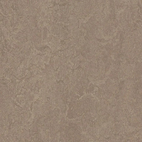 Forbo Marmoleum Decibel Exen Flooring