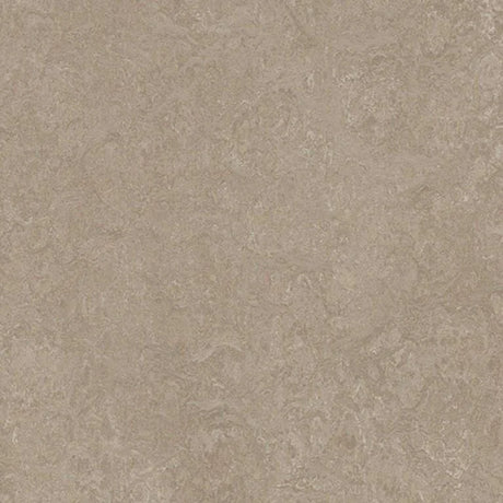 Forbo Marmoleum Decibel Exen Flooring