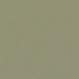 Forbo Marmoleum Decibel Exen Flooring