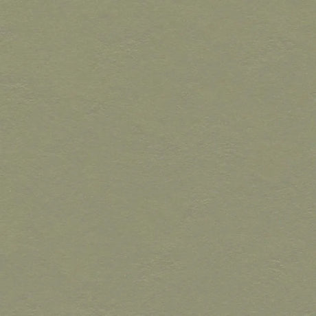 Forbo Marmoleum Decibel Exen Flooring