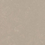 Forbo Marmoleum Decibel Exen Flooring