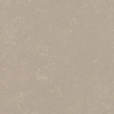 Forbo Marmoleum Decibel Exen Flooring