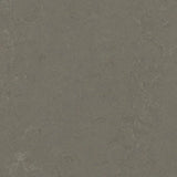 Forbo Marmoleum Decibel Exen Flooring
