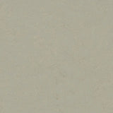 Forbo Marmoleum Decibel Exen Flooring