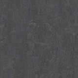 Forbo Marmoleum Decibel Exen Flooring