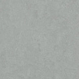 Forbo Marmoleum Decibel Exen Flooring