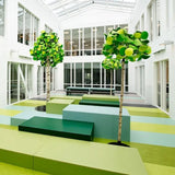 Forbo Marmoleum Decibel Exen Flooring
