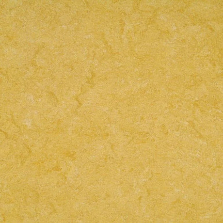 Gerflor Marmorette Vinyl Exen Flooring