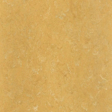 Gerflor Marmorette Vinyl Exen Flooring