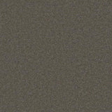 Cormar Pembroke Carpet Exen Flooring