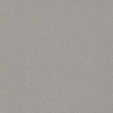 Polyflor Polysafe Verona Pure Colours PUR Vinyl Exen Flooring