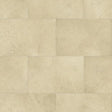 Polyflor Secura PUR Vinyl Exen Flooring