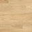 Polyflor Secura PUR Vinyl Exen Flooring