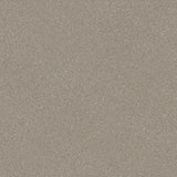 Polyflor Silentflor PUR Vinyl Exen Flooring