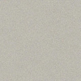 Polyflor Silentflor PUR Vinyl Exen Flooring