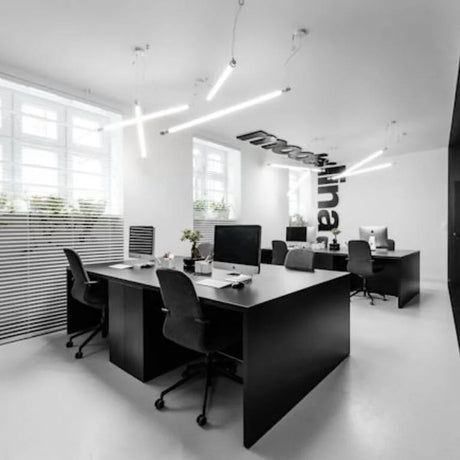 Polyflor Standard XL 2mm Vinyl Exen Flooring