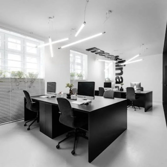 Polyflor Standard XL 2mm Vinyl Exen Flooring